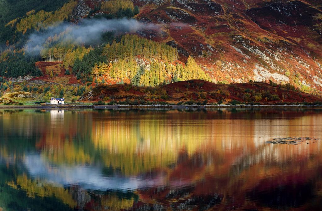 Tomkinson Tweed