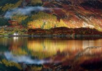 Tomkinson Tweed