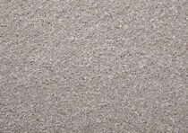 Mystique Chamois