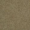 Tomkinson Plains - Coriander