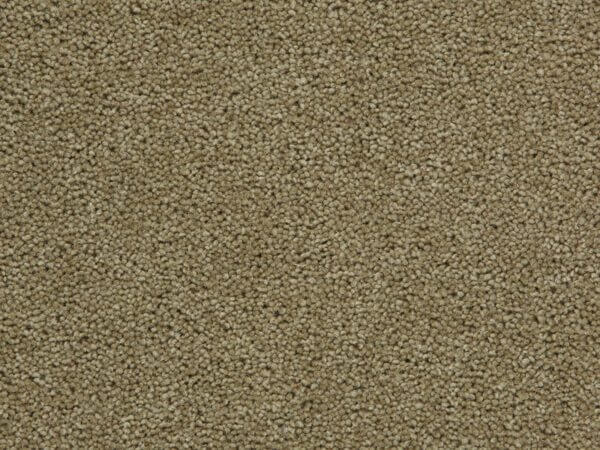 Tomkinson Plains - Coriander