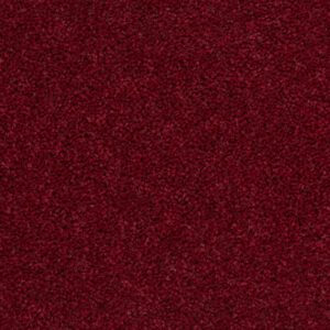 Tomkinson Plains - Raspberry