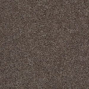 Tomkinson Plains - Truffle