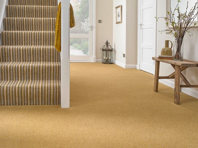 Tomkinson Twist Stripe Carpet