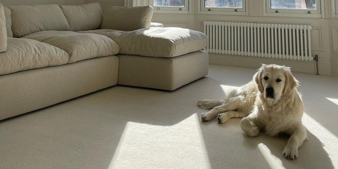 Natural Shades Wool Loop Carpet