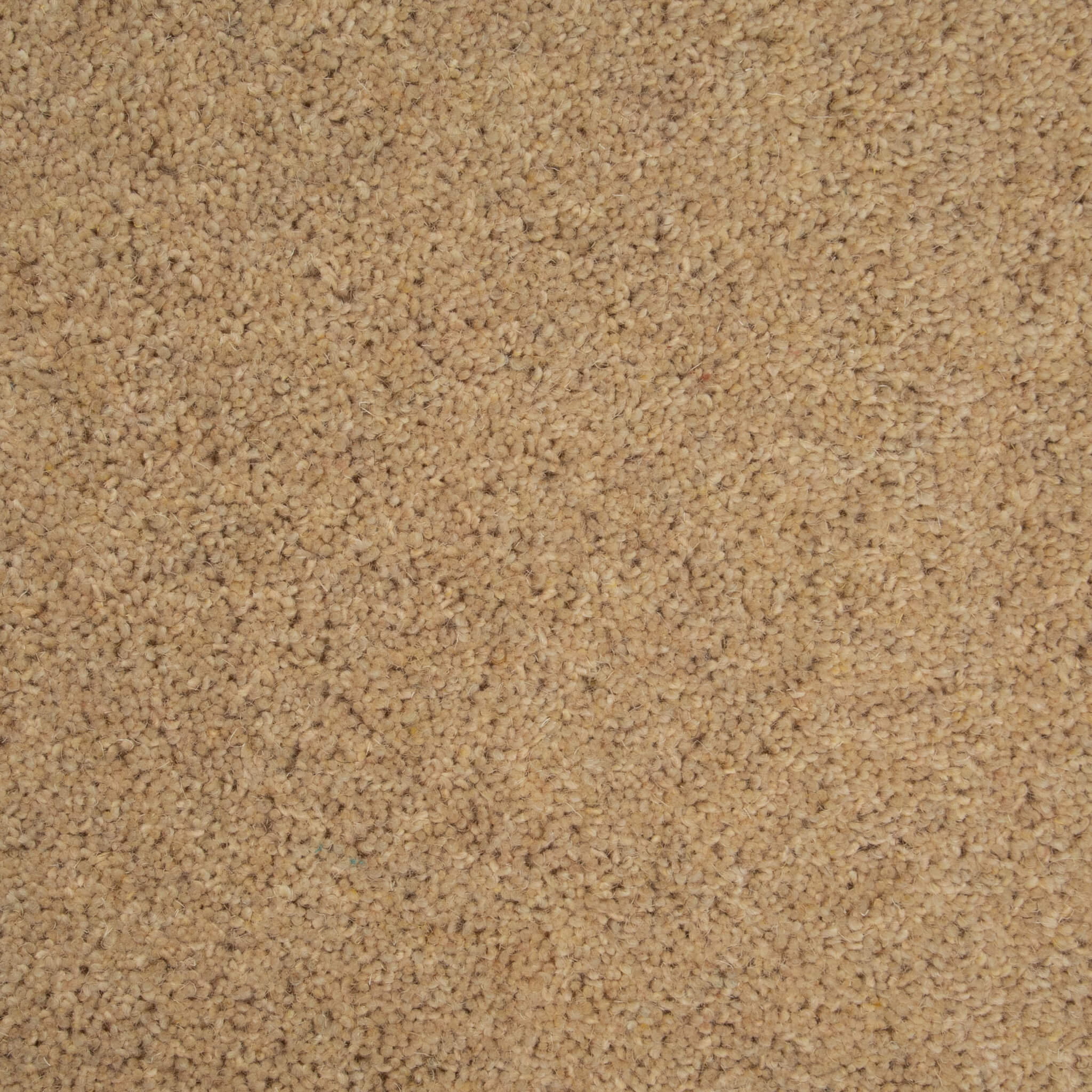 Tomkinson Twist - Buttermilk
