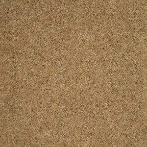 Tomkinson Twist - Fawn