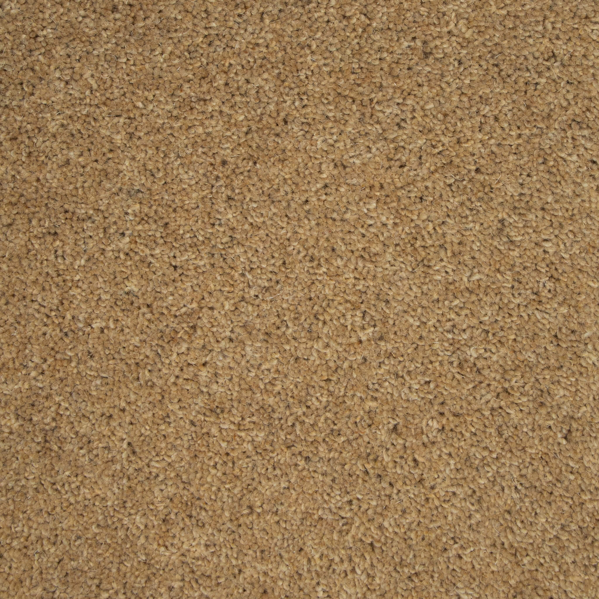 Tomkinson Twist - Fawn