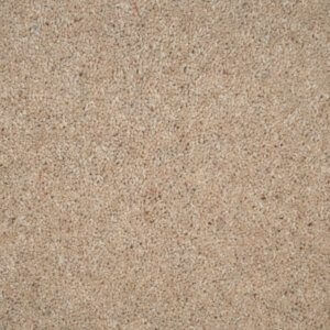 Tomkinson Twist - Mushroom