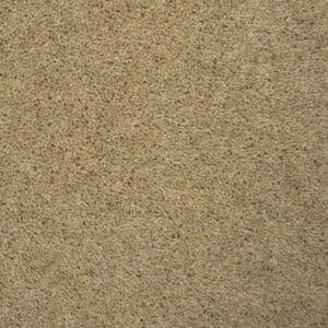 Tomkinson Twist - Oat