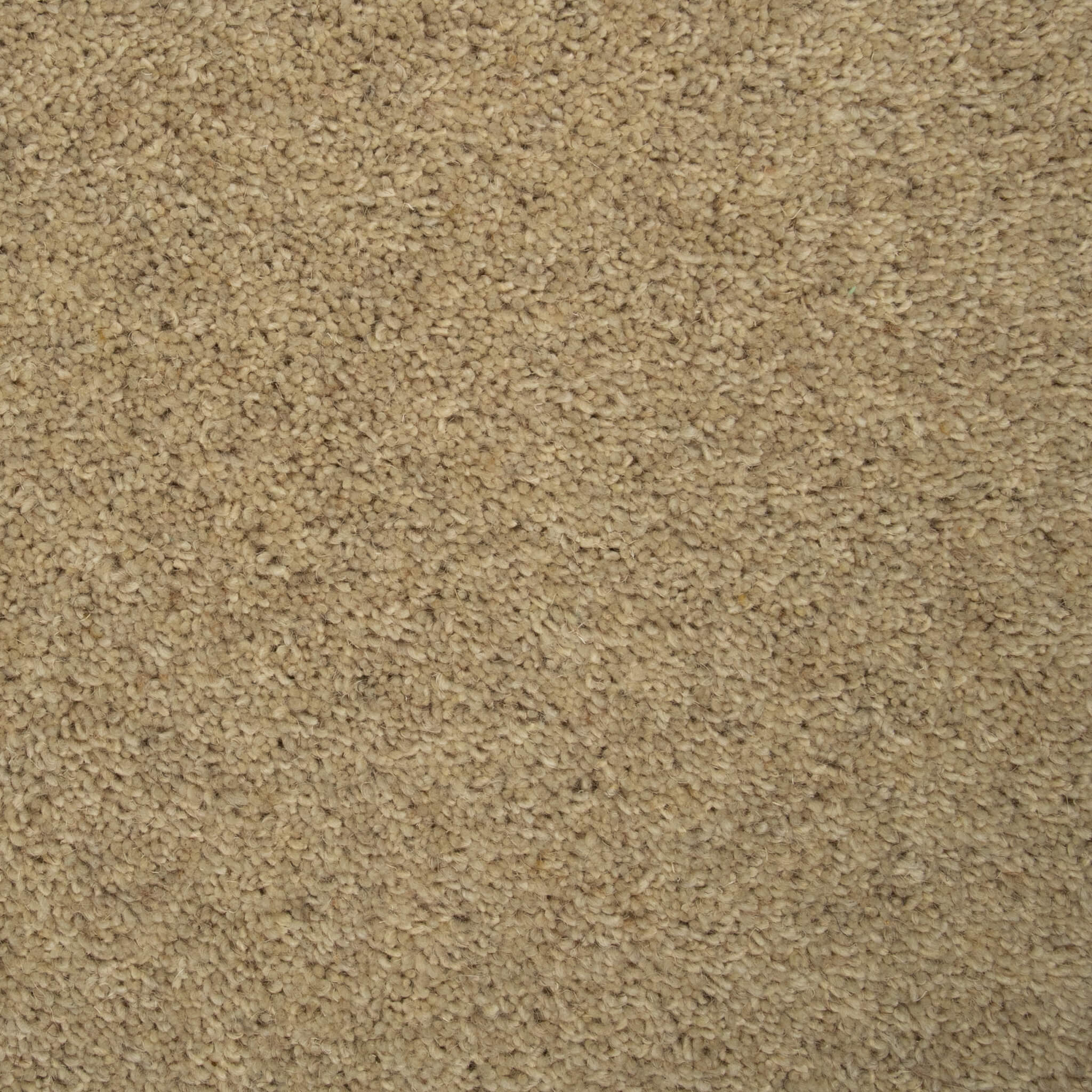 Tomkinson Twist - Oat