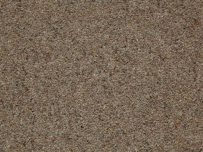 Tomkinson Berber -Chestnut Tomkinson Berber -Chestnut