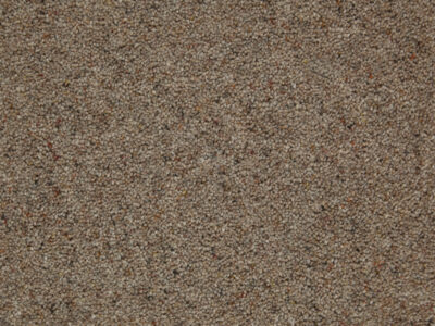 Tomkinson Berber -Chestnut Tomkinson Berber - Chestnut