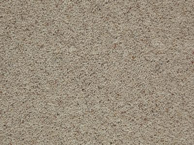 Tomkinson Berber -Polar Tomkinson Berber -Polar