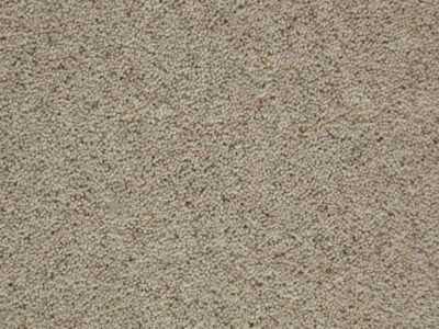 Tomkinson Berber -Polar Tomkinson Berber - Polar